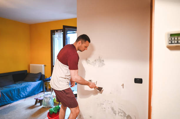Best DIY Mold Remediation Support Services in Waxahachie, TX